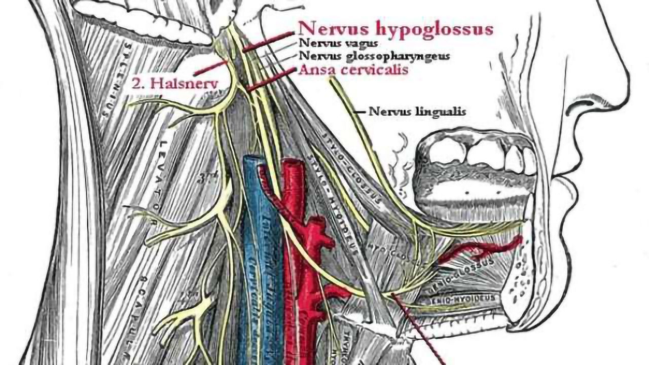 Study shows vagus nerve stimulation significantly reduces rheumatoid arthritis symptoms