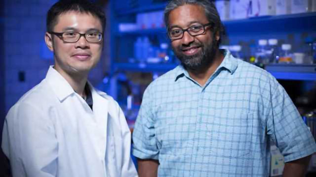 Researchers describe copper-induced misfolding of prion proteins