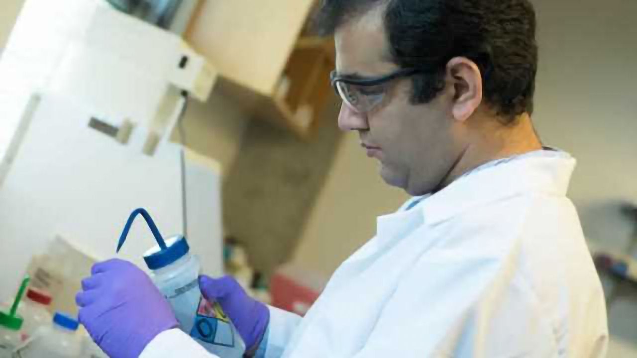 Amyloid probes gain powers in search for Alzheimer's cause