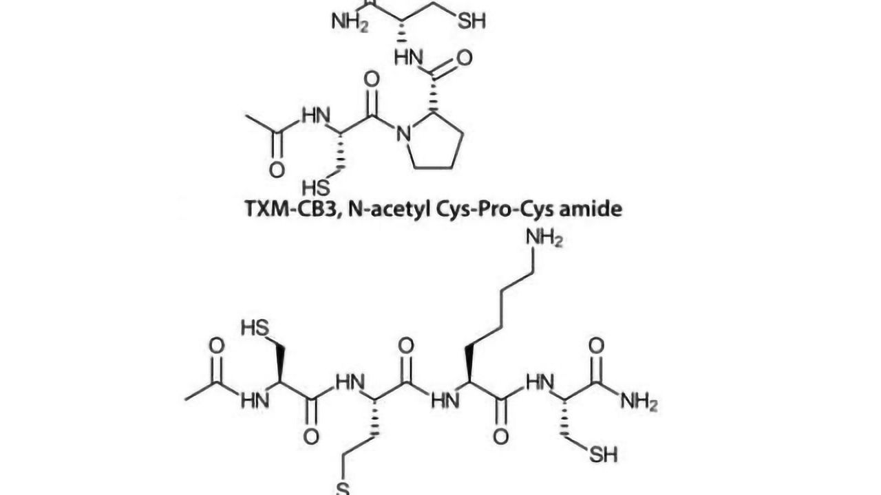 Novel peptide protects cognitive function after mild traumatic brain injury
