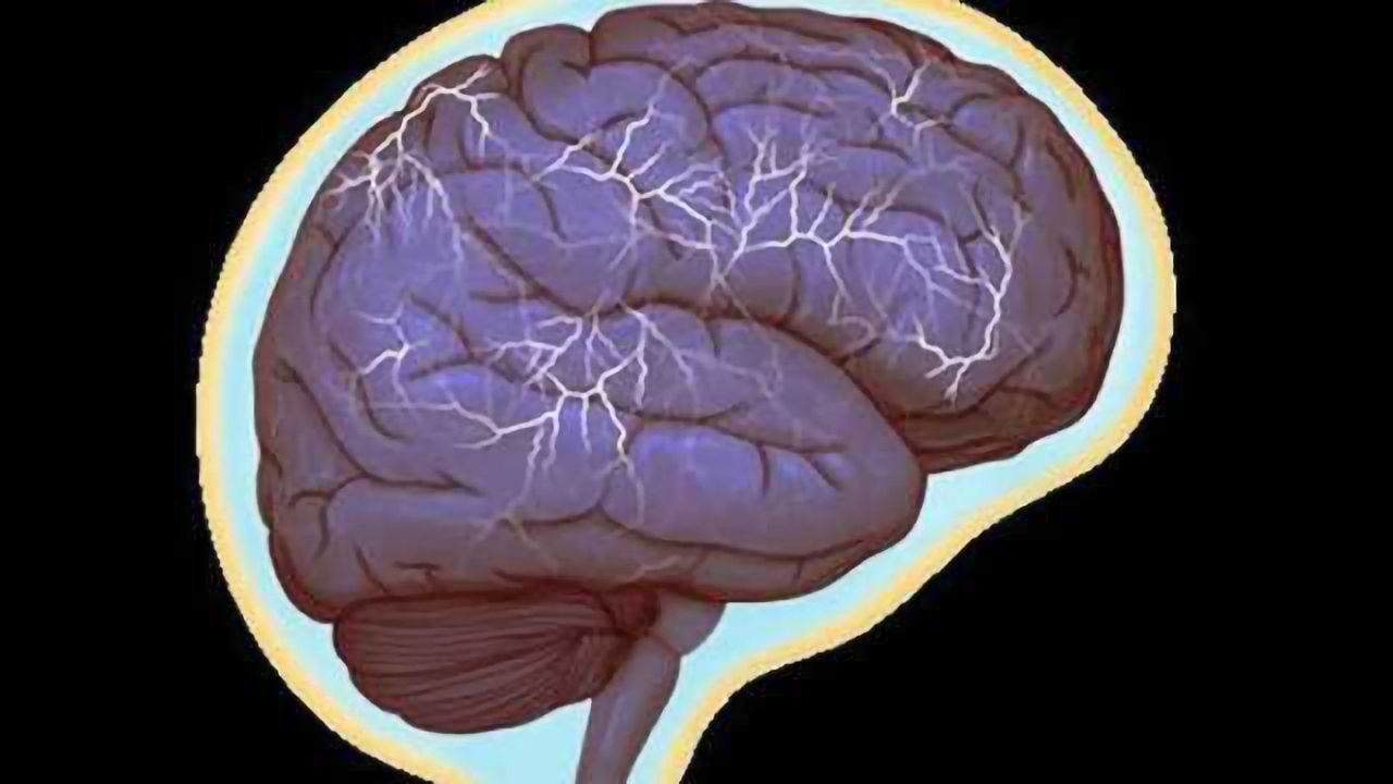Shocking new role found for the immune system: Controlling social interaction