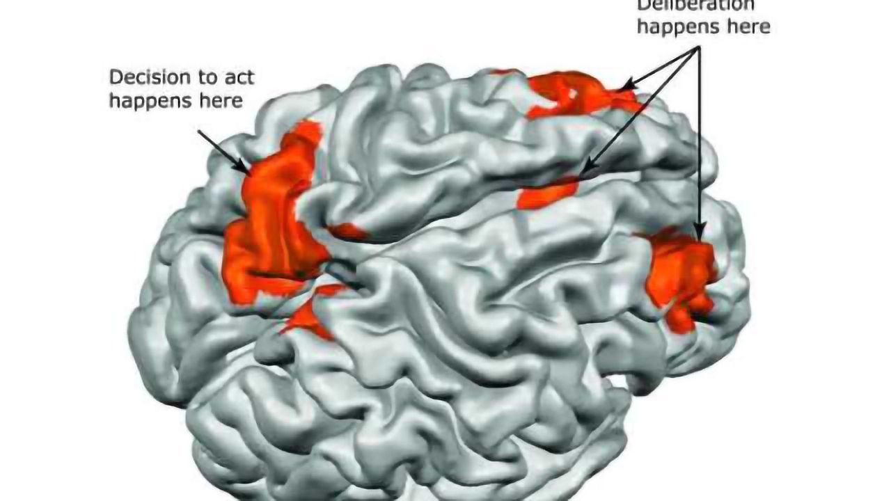 What free will looks like in the brain
