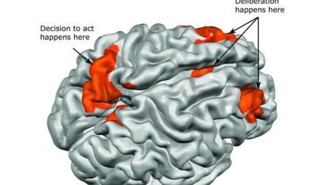 What free will looks like in the brain