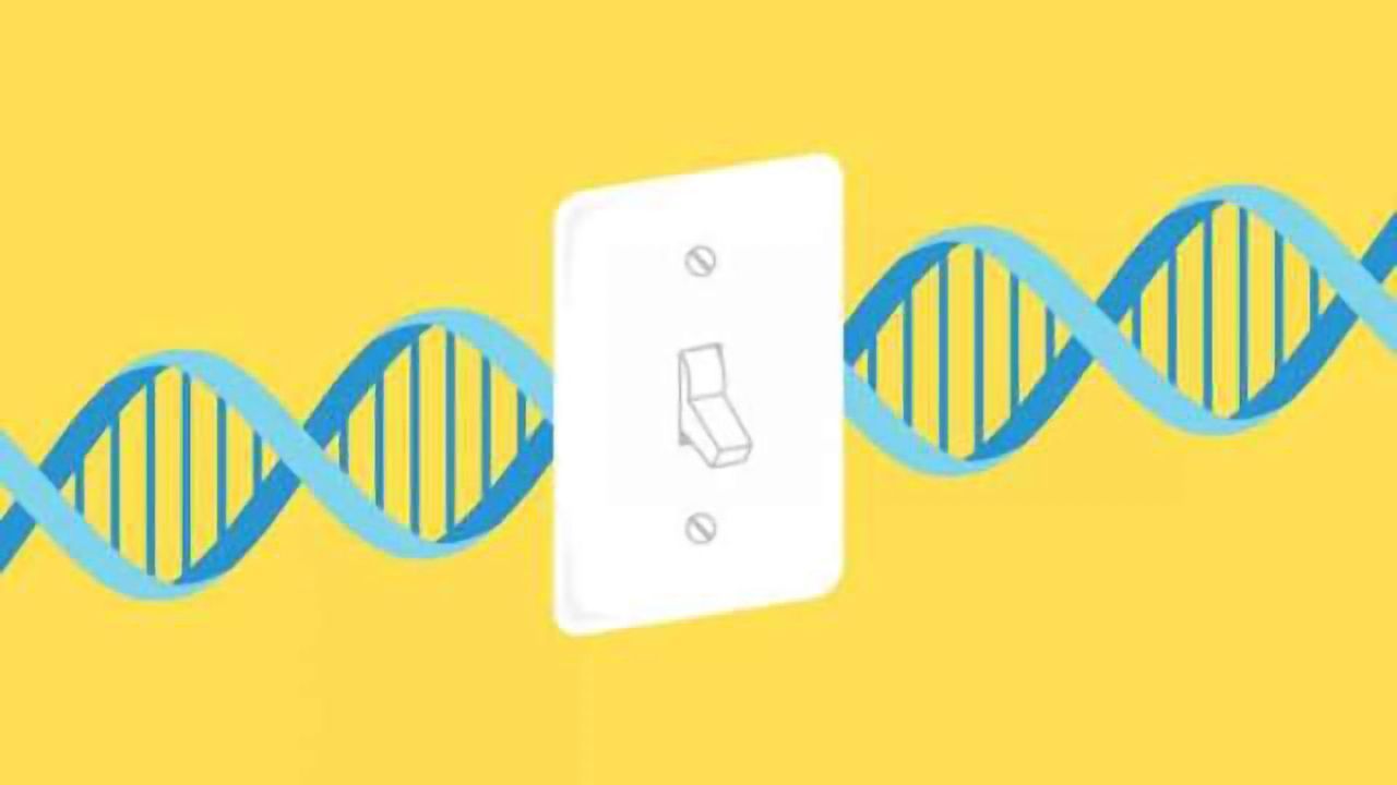Ability to turn off genes in brain crucial for learning, memory