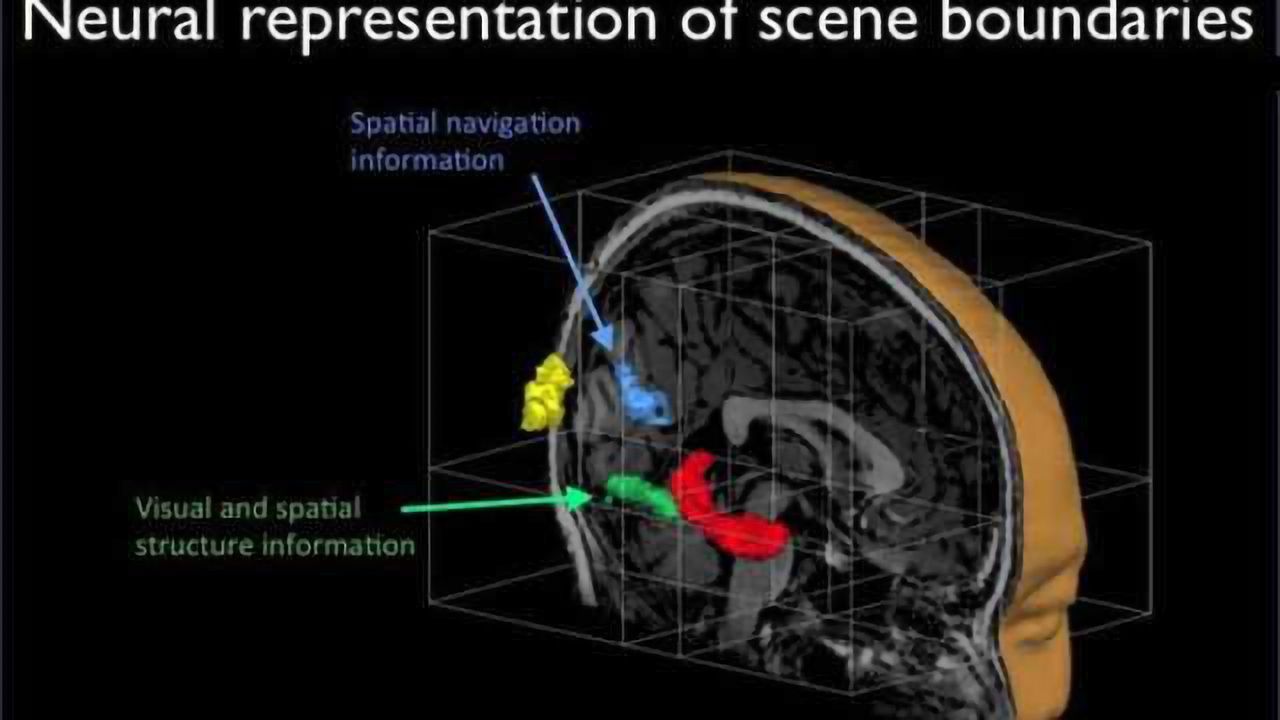 The brain's super-sensitivity to curbs