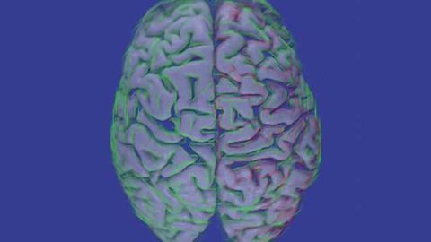 Study shows long-term safety of gene therapy in Parkinson's disease