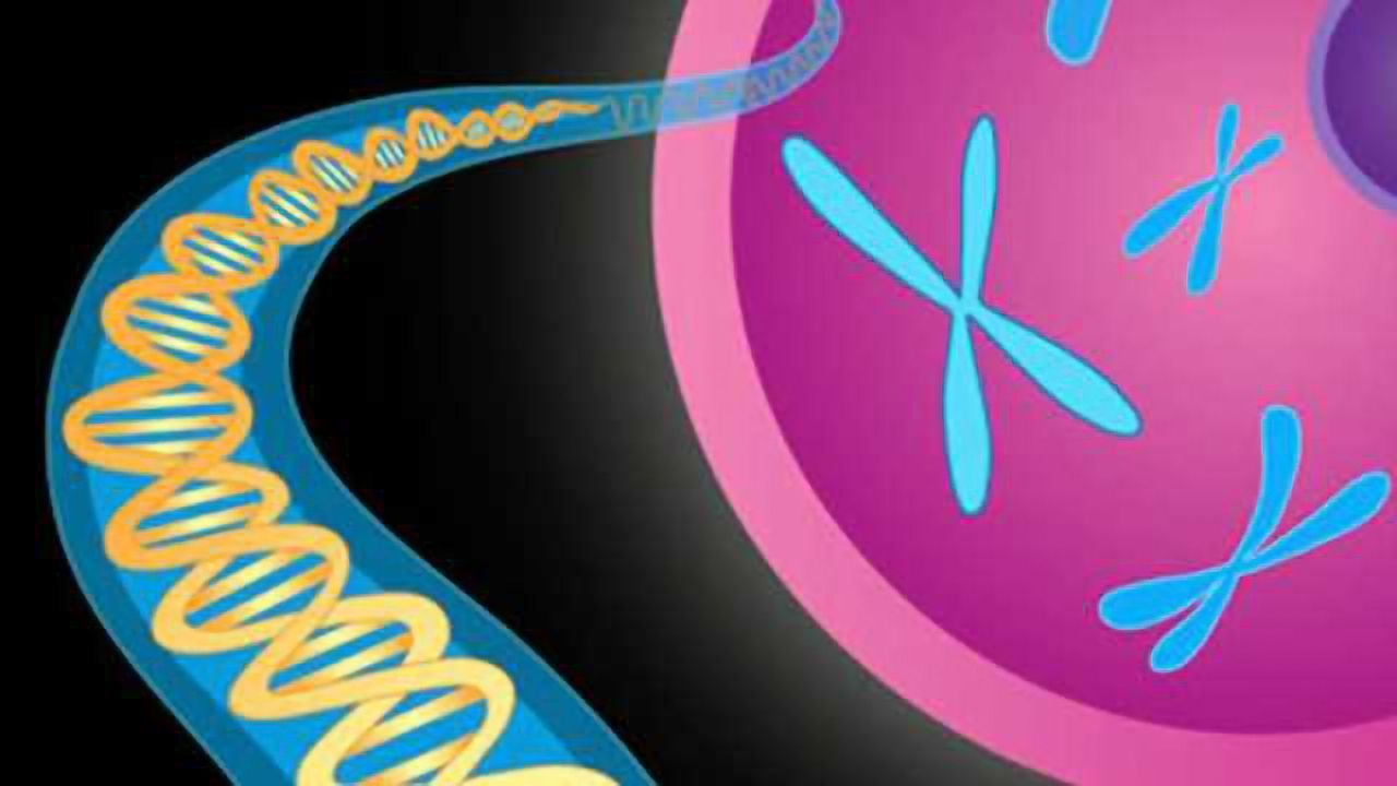Tapping crowd-sourced data unearths a trove of depression genes