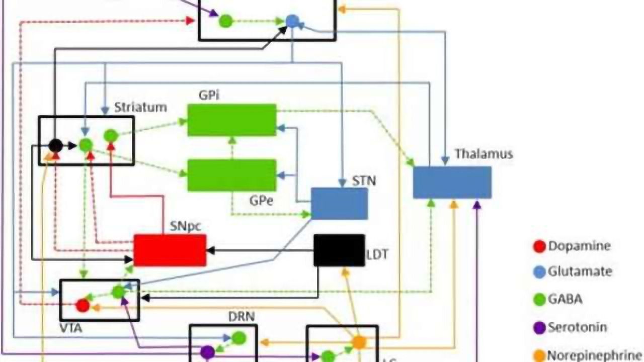 Schizophrenia simulator: When chemistry upends sanity's balance