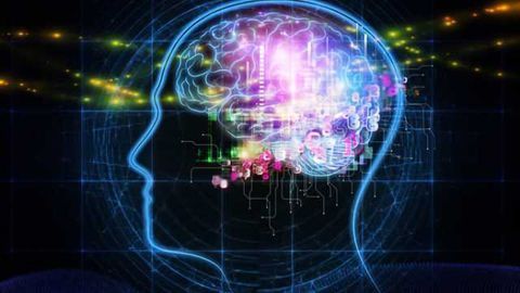 Study identifies patients with mild traumatic brain injury at increased risk of PTSD