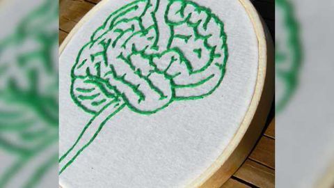 Targeting brain cells to alleviate neuropathic pain