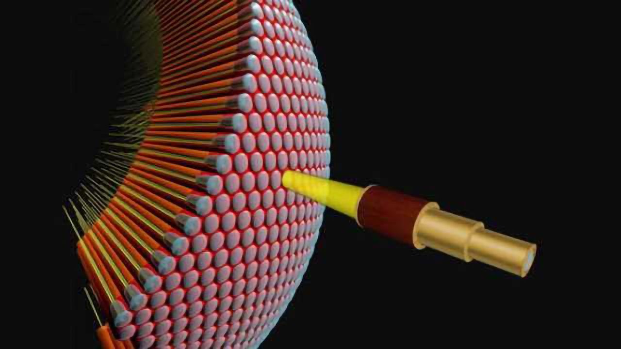 Neuron unites two theoretical models on motion detection