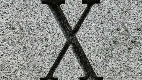 Researchers develop simple, sensitive, cost-effective assays for analyzing Fragile X-related disorders