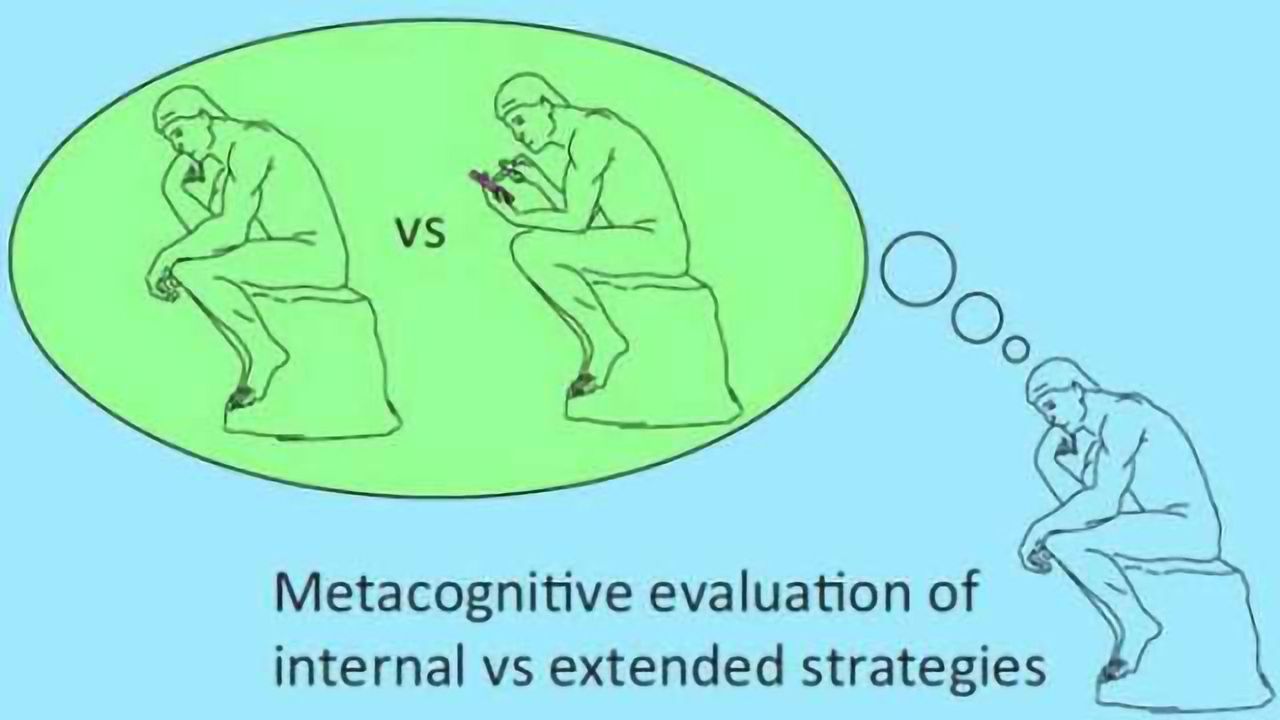 Using the outside world to save on brainpower