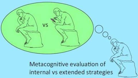 Using the outside world to save on brainpower