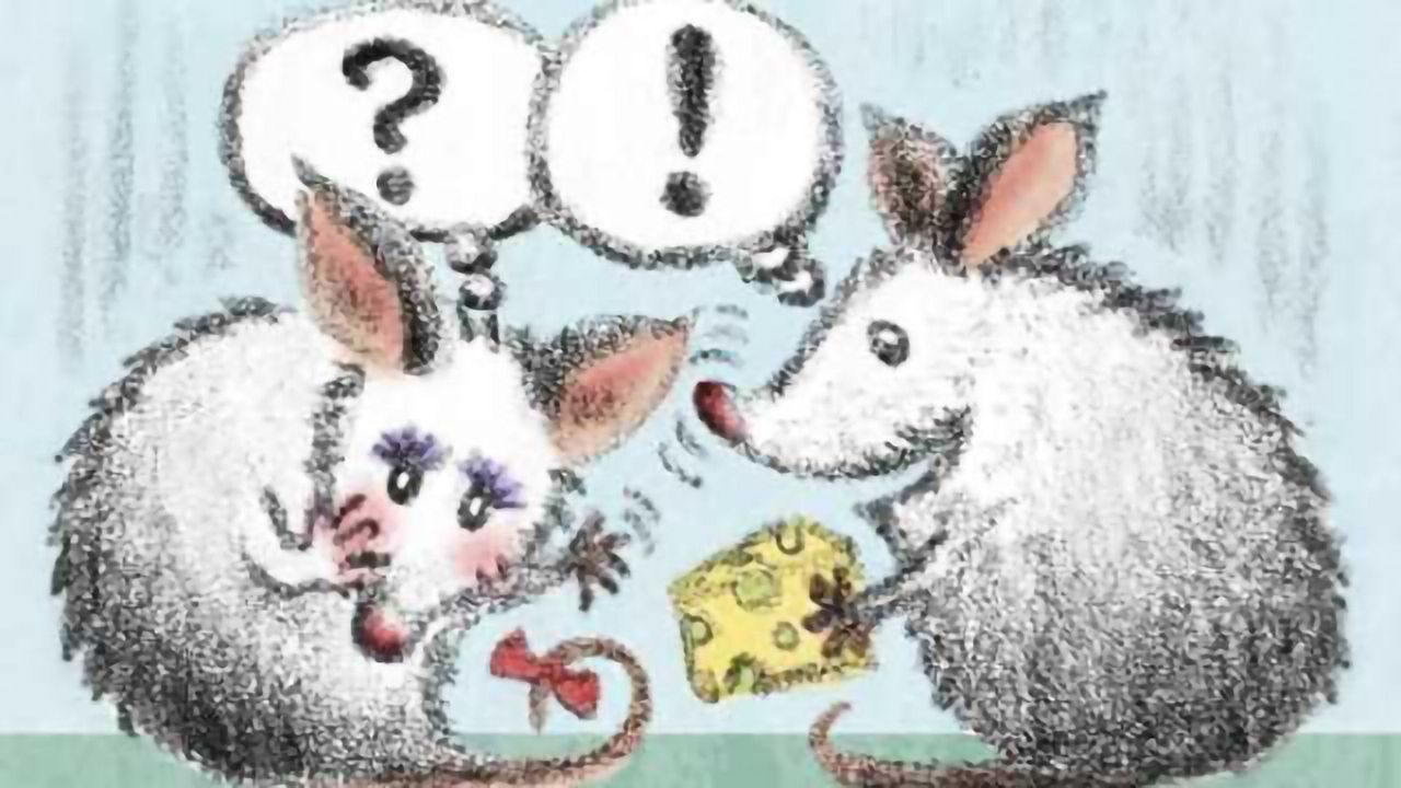 Long-term exposure to female scents changes courtship behavior in male mice