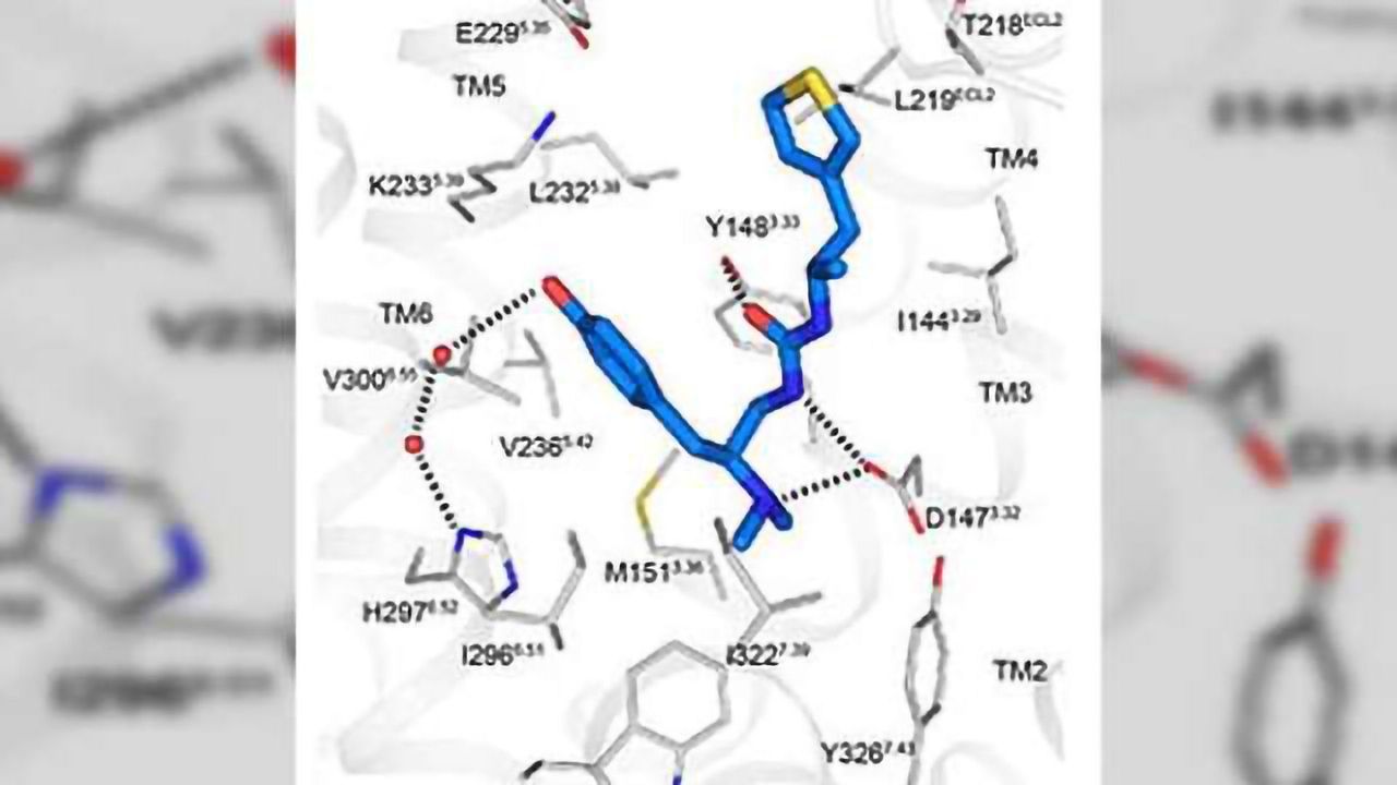 Designer agent blocks pain in mice without morphine's side effects