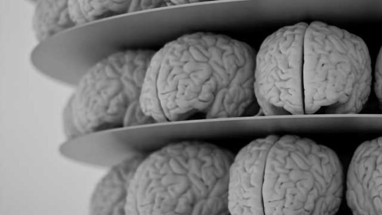 Studies find concept of using light to image, potentially treat PTSD