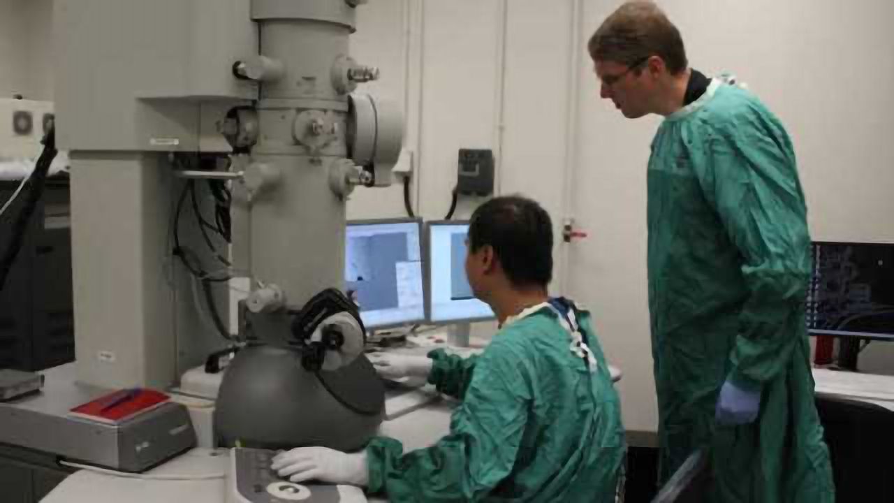 Newly discovered infectious prion structure shines light on mad cow disease
