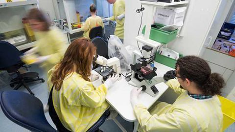 Predicting the severity of multiple sclerosis
