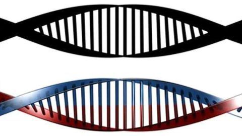 Response to common schizophrenia, bipolar treatment dictated by gene type