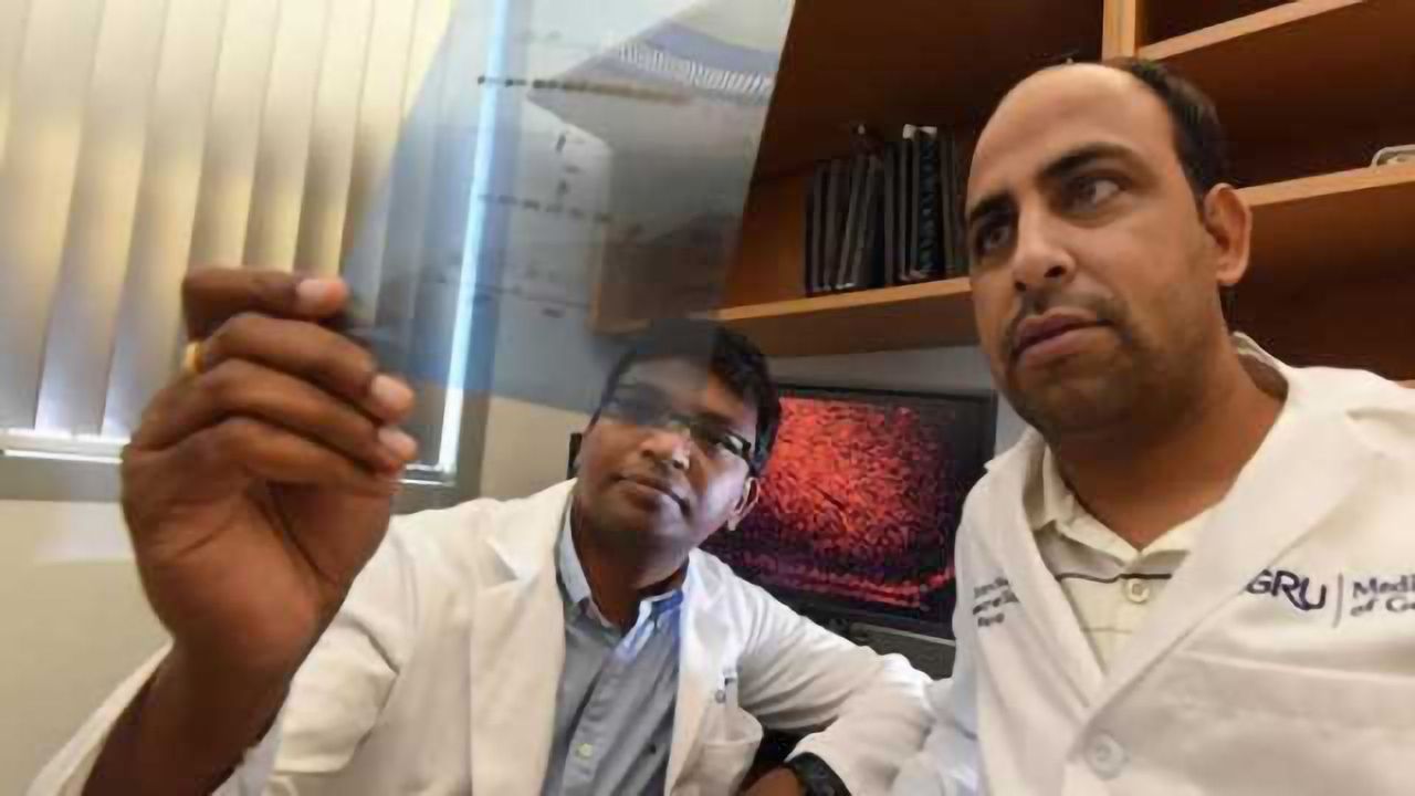 Chronic stress increases level of a protein that decreases availability of mood-regulating chemical