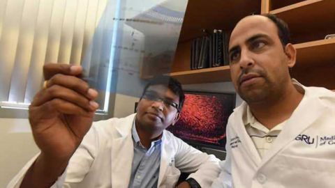 Chronic stress increases level of a protein that decreases availability of mood-regulating chemical
