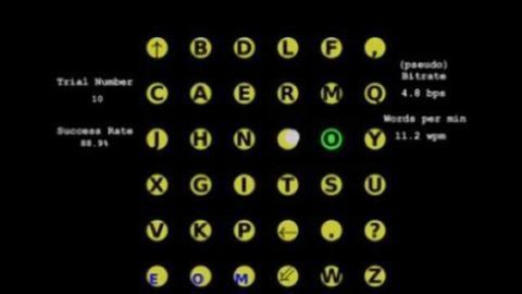 Brain-sensing technology allows monkeys to type with thoughts at a rate of 12 words per minute