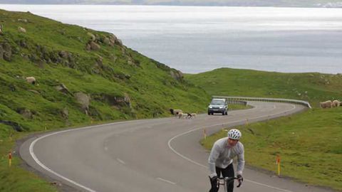 Brain benefits of aerobic exercise lost to mercury exposure