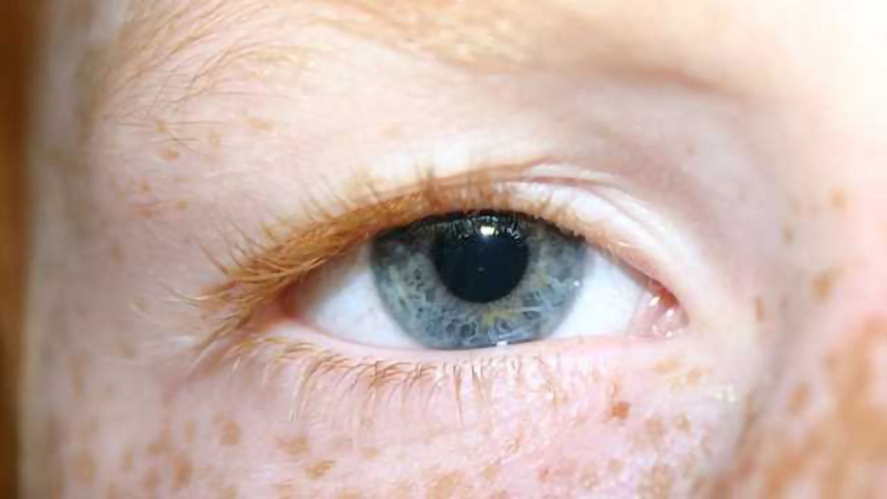 Study uncovers new molecular signaling mechanism for correcting childhood visual disorders