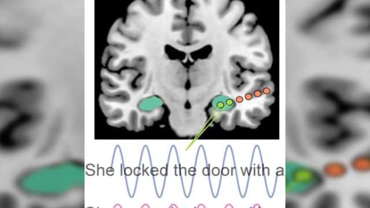 Brain’s hippocampus helps fill in the blanks of language