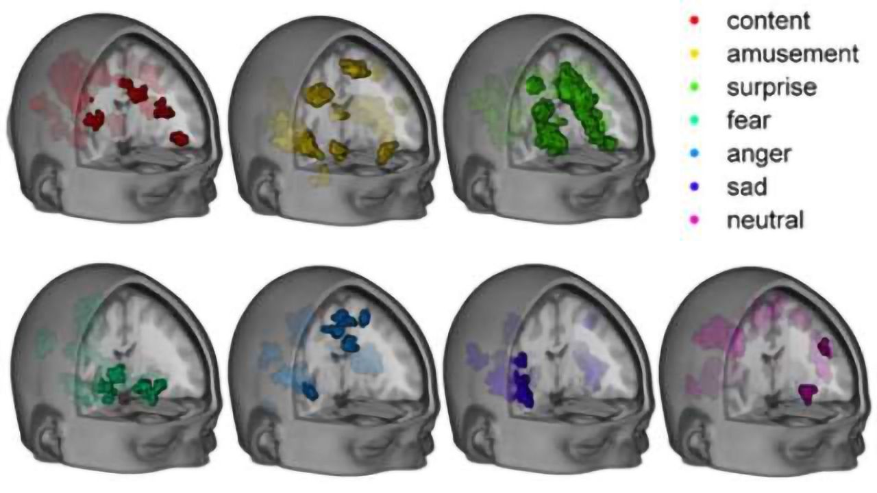 MRI scanner sees emotions flickering across an idle mind