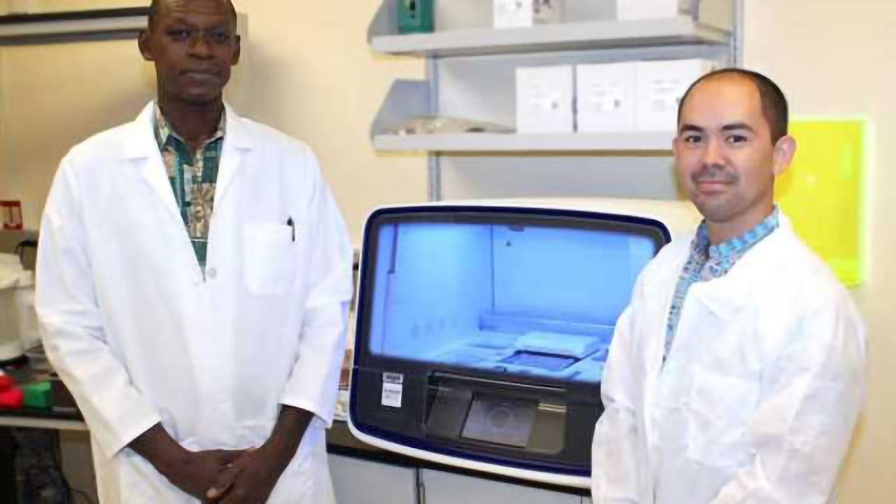 Researchers find a potential signature of cognitive function in people living with HIV