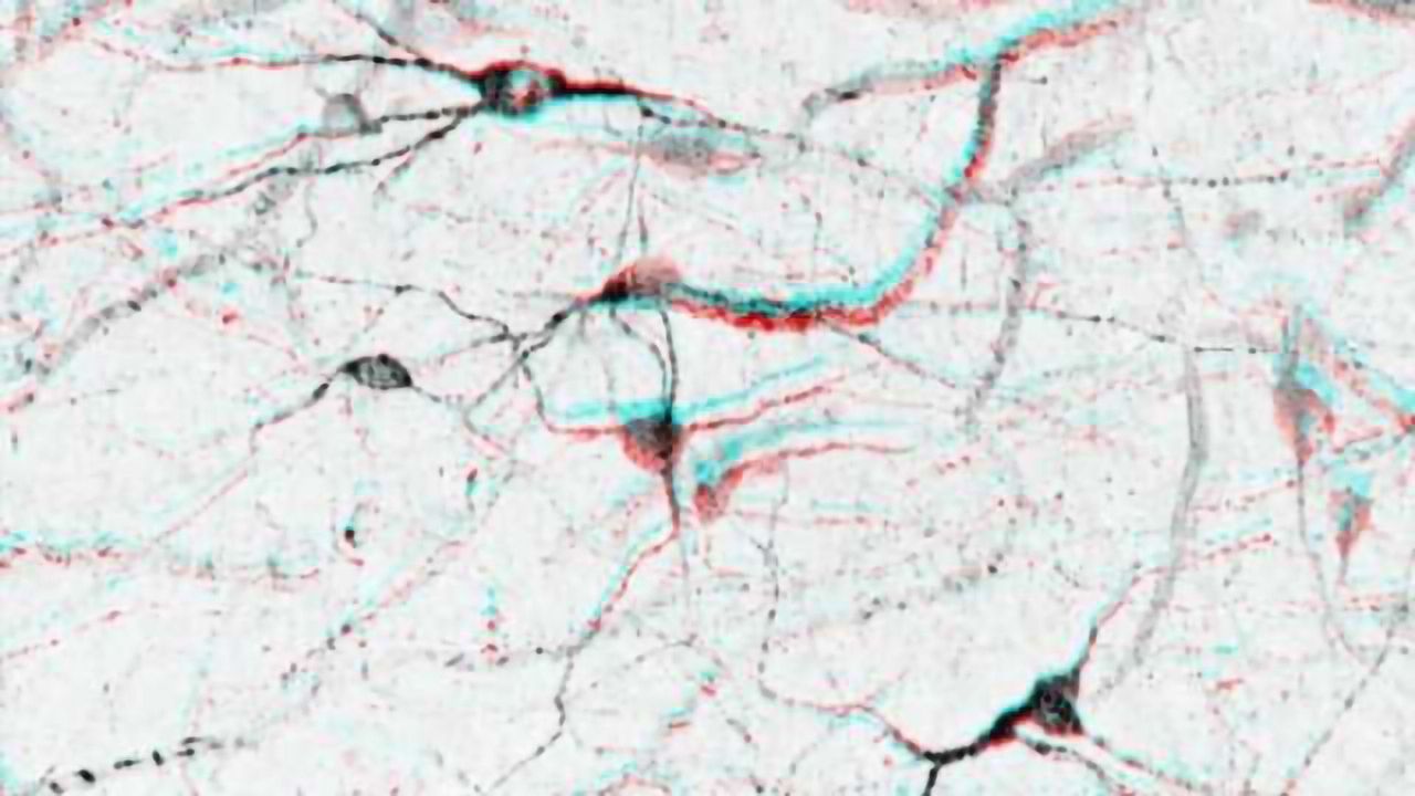 Scientists track down possible new treatment for epilepsy