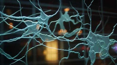 New devices created that emulate human biological synapses