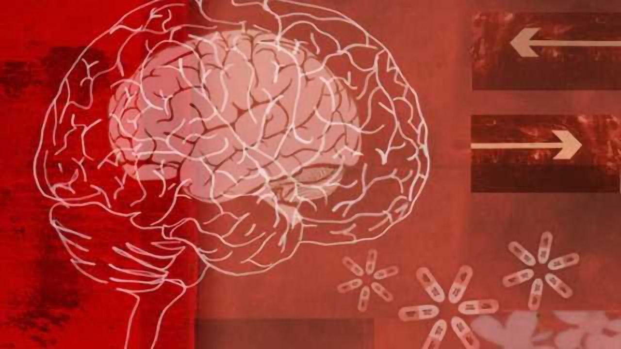 Scientists find new path in brain to ease depression