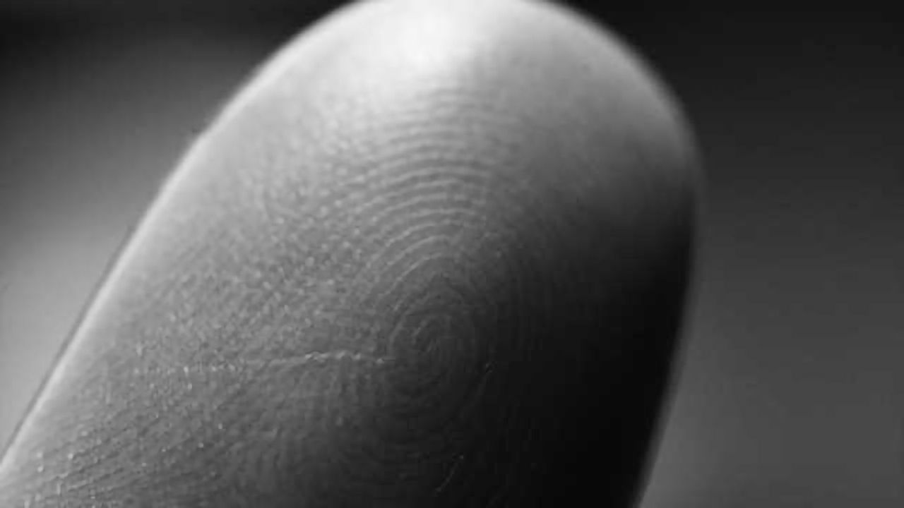 Fighting pain through knowledge about sensory organs in the fingertips