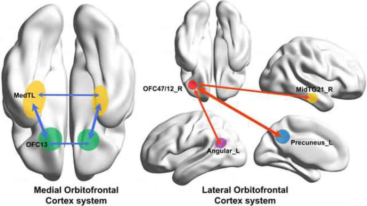 Depression's physical source discovered; potential for new treatments