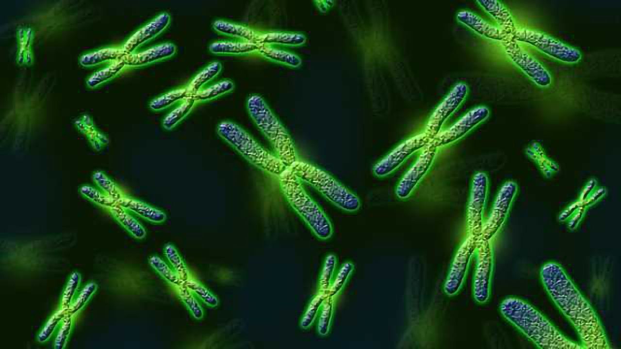 Scientists find new genetic roots of schizophrenia