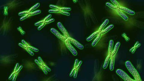 Scientists find new genetic roots of schizophrenia