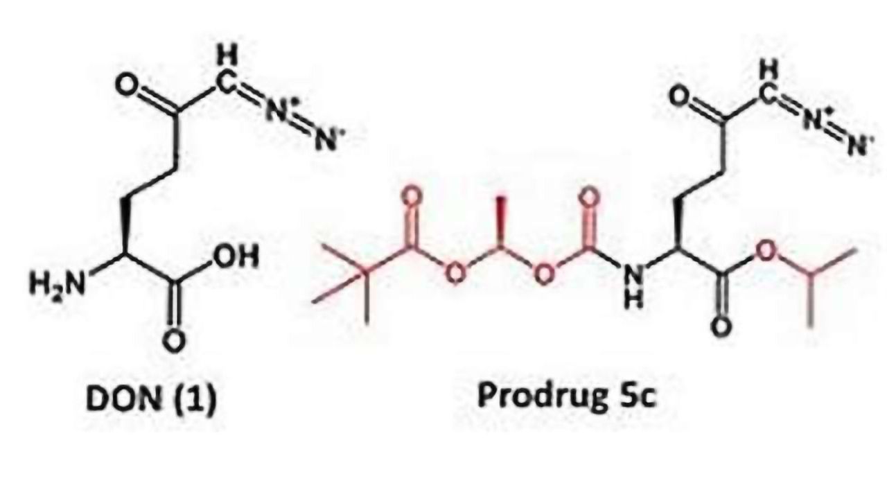 Scientists build a better cancer drug to pass through blood-brain barrier