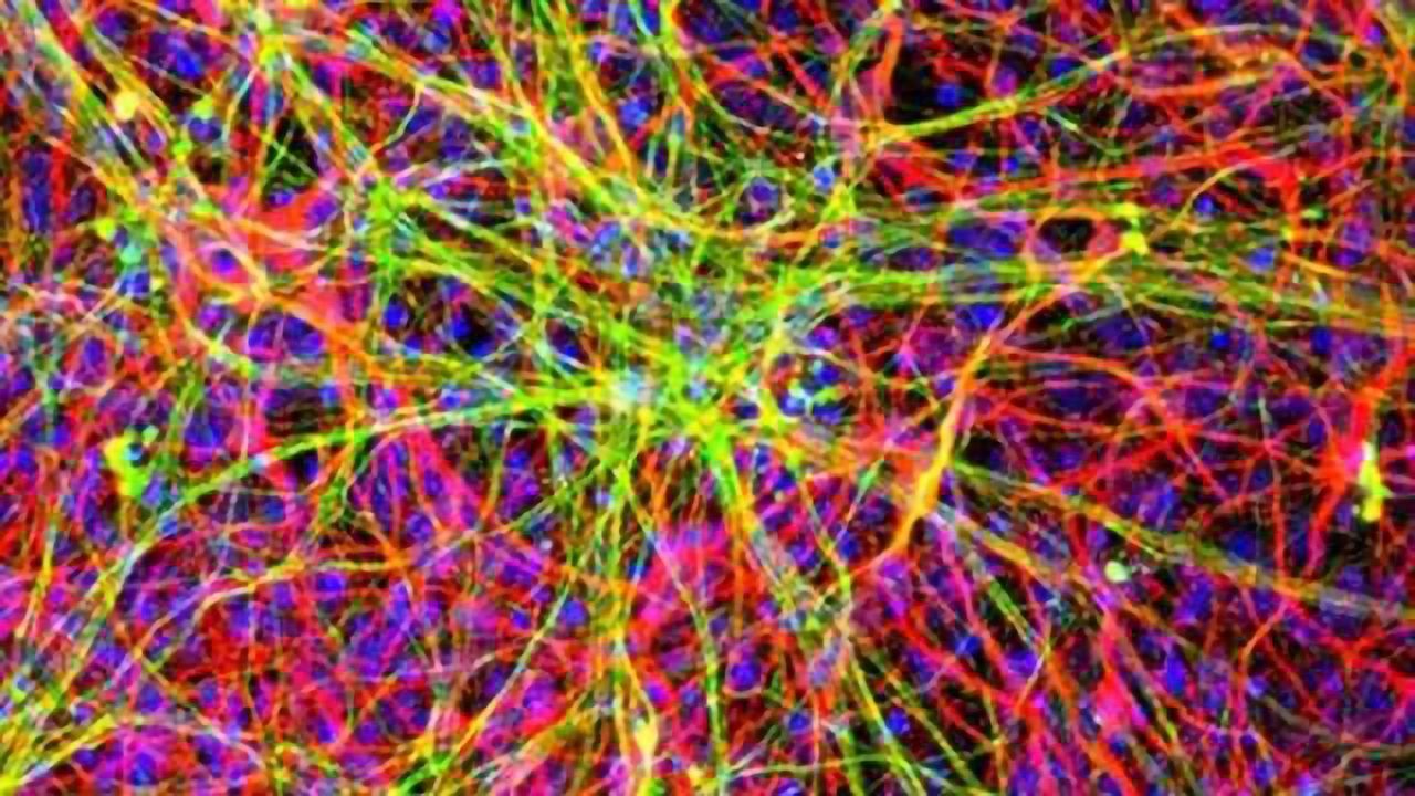 ALS study reveals role of RNA-binding proteins