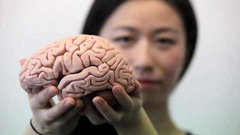 How even our brains get 'slacker' as we age