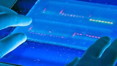 Common sets of genes disrupted in schizophrenia, bipolar disorder and major depression