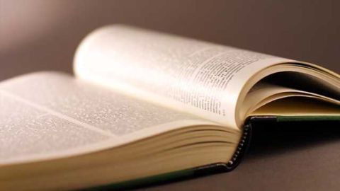 Bilingual brains activate different networks when reading opaque and transparent languages