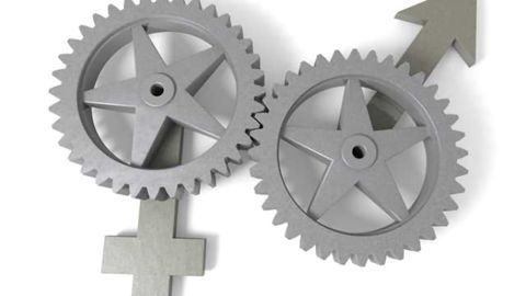 Study reveals the brain regulates social behavior differently in males and females