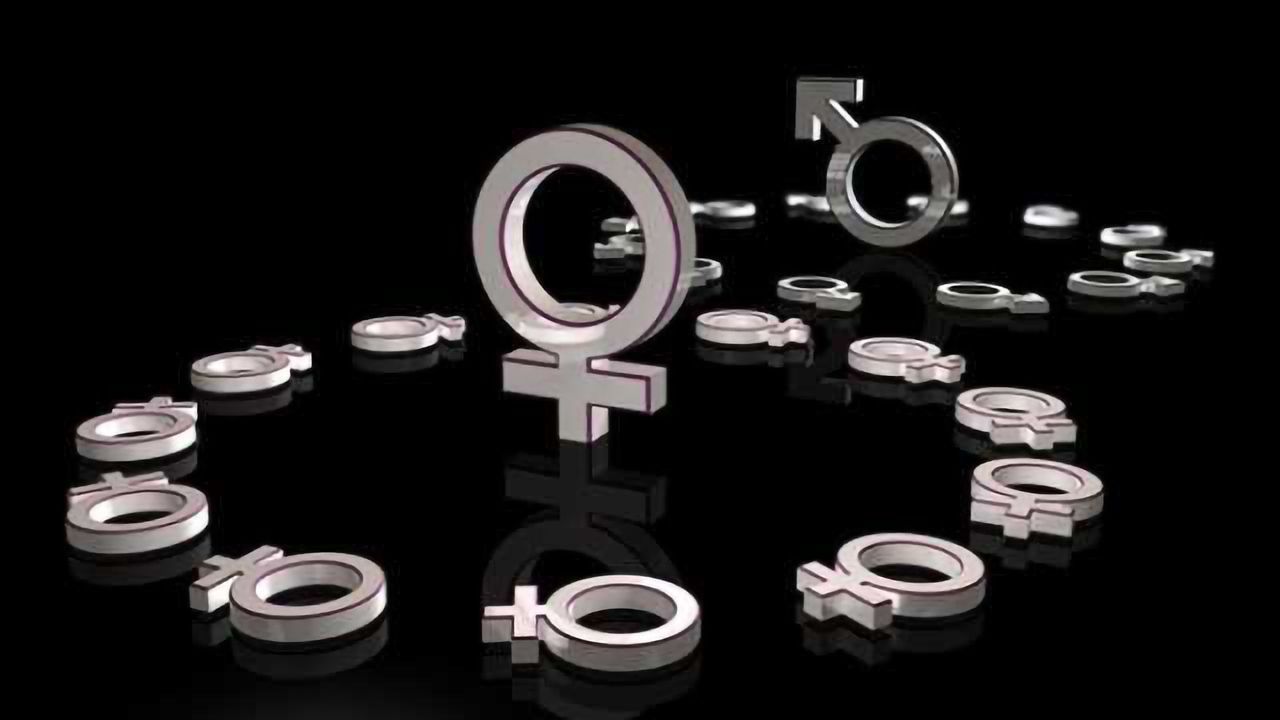 Sex/gender influences on nervous system function