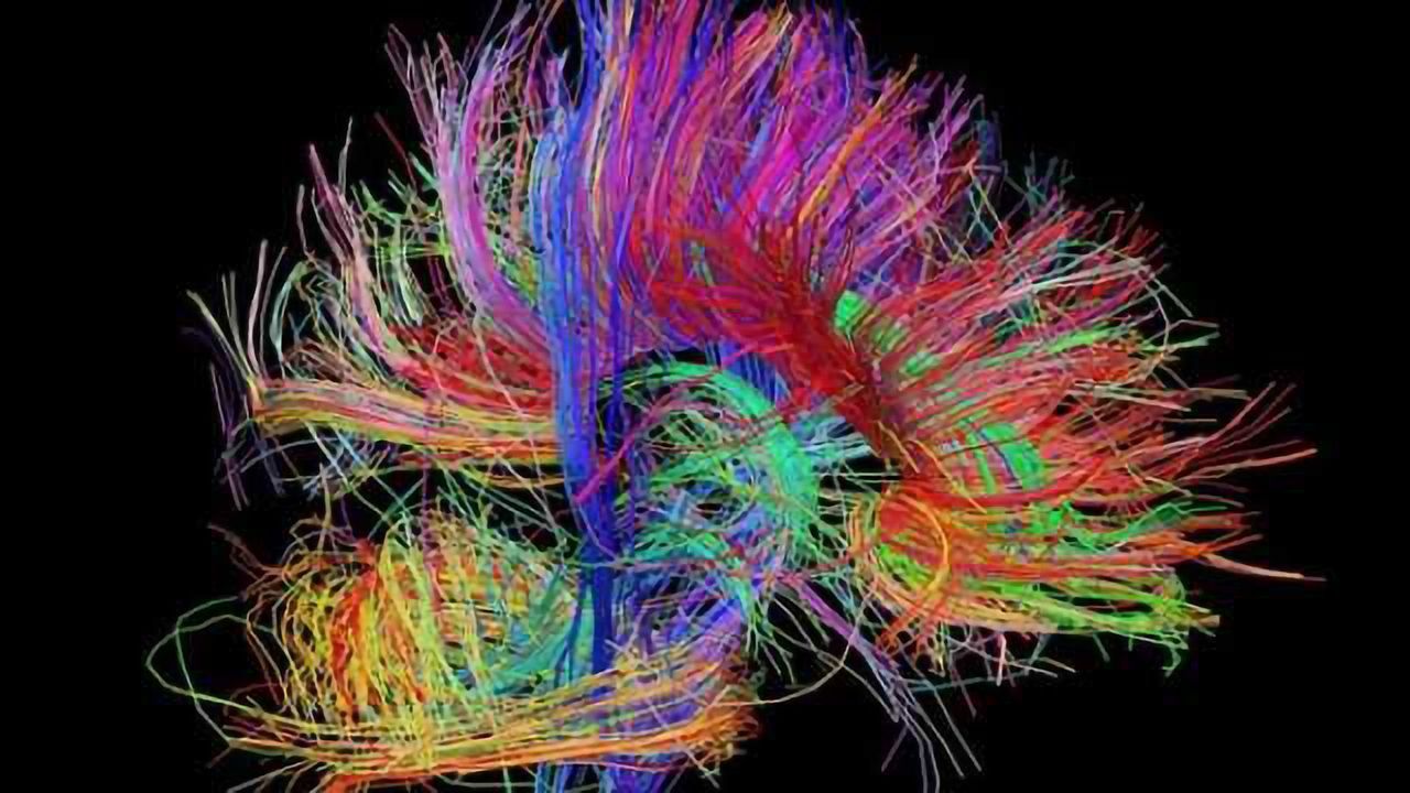 Insight into the seat of human consciousness