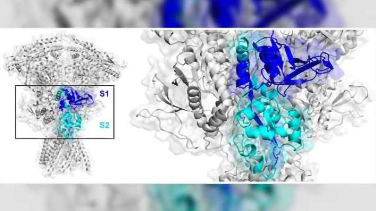 Deep dive into NMDA receptor variation and link to epilepsy, ID