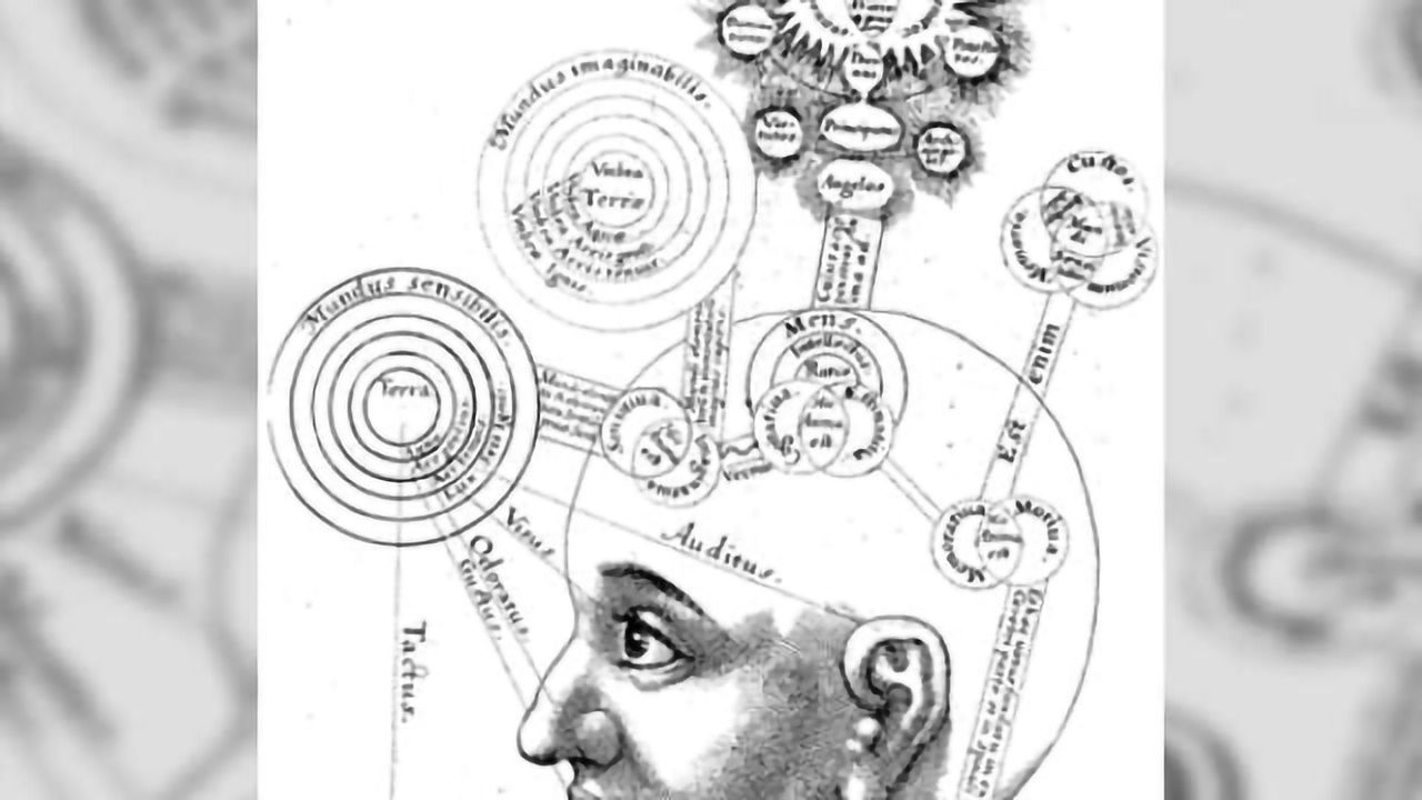 Our brains have a basic algorithm that enables our intelligence, scientists say