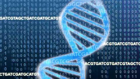 Largest study of its kind finds rare genetic variations linked to schizophrenia
